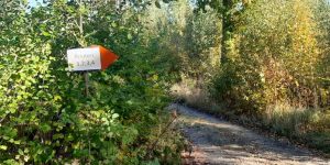 🌞 Wander-Countdown läuft – die Beschilderung steht! 🚶‍♂️🚶‍♀️