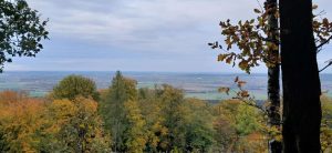 💚 Morgen ist es so weit: Der Tag, der uns alle verbindet.